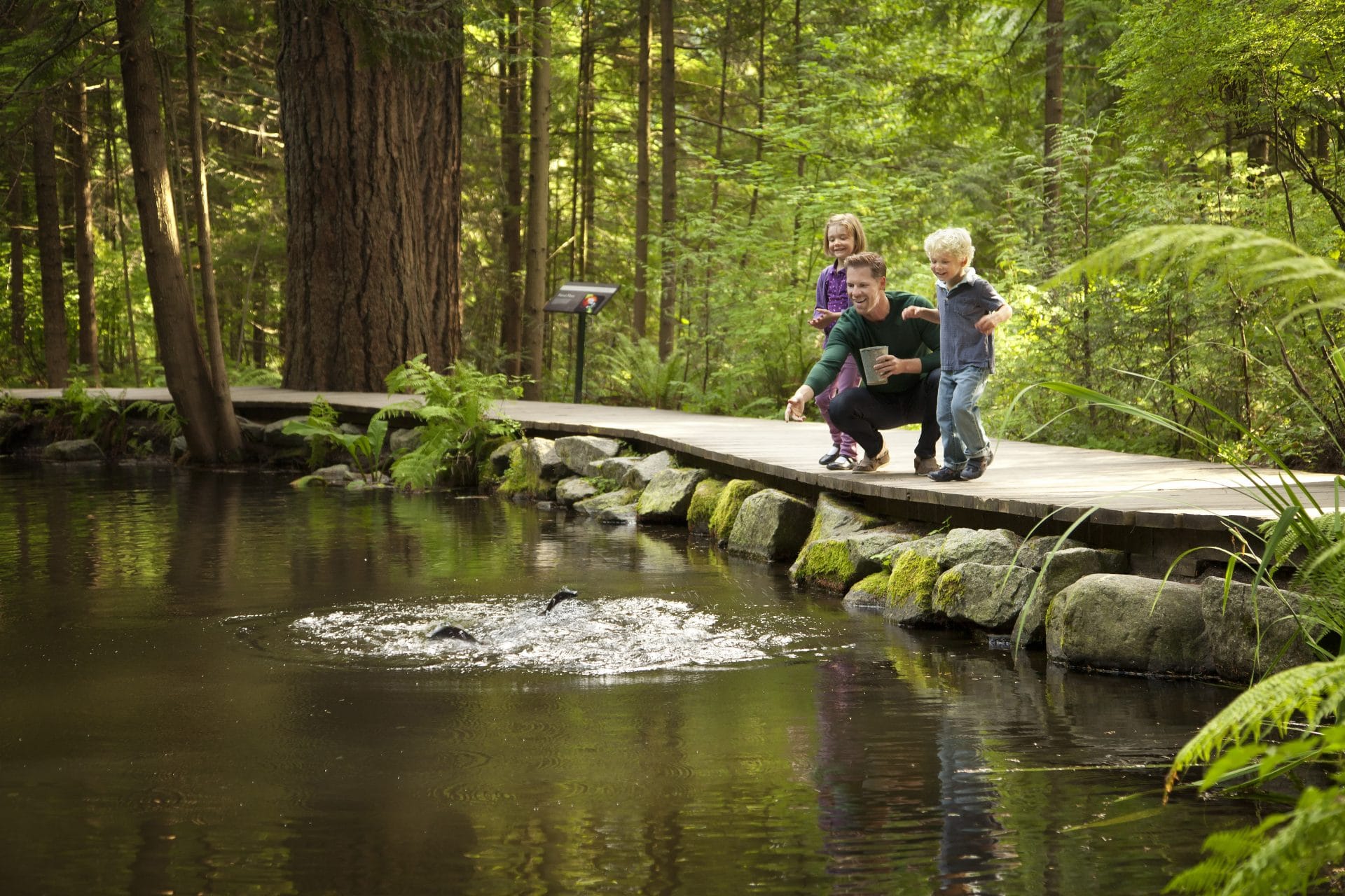 Family looking at fish in river