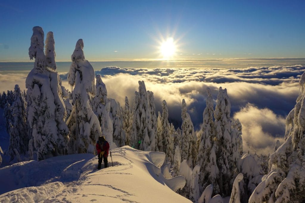 Best Beginner Snowshoeing Trails Vancouver s North Shore Vancouver