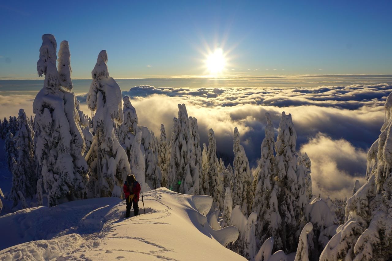 Best Beginner Snowshoeing Trails on Vancouver's North Shore Vancouver