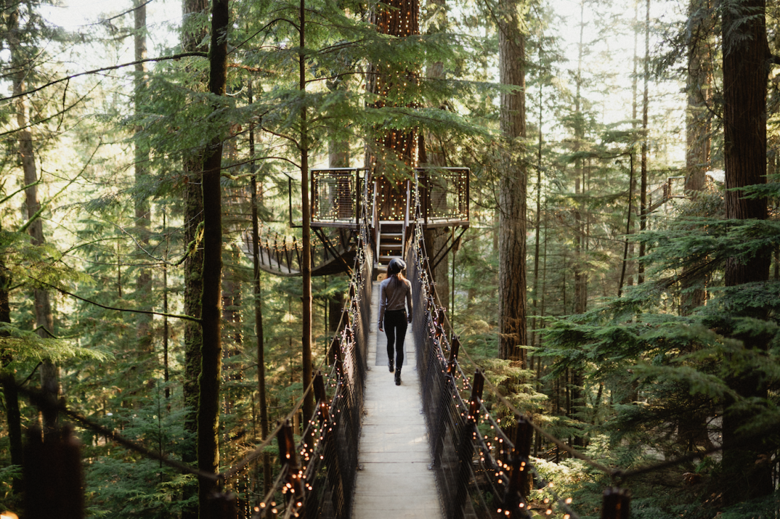 Capilano Suspension Bridge Park Vancouver's North Shore