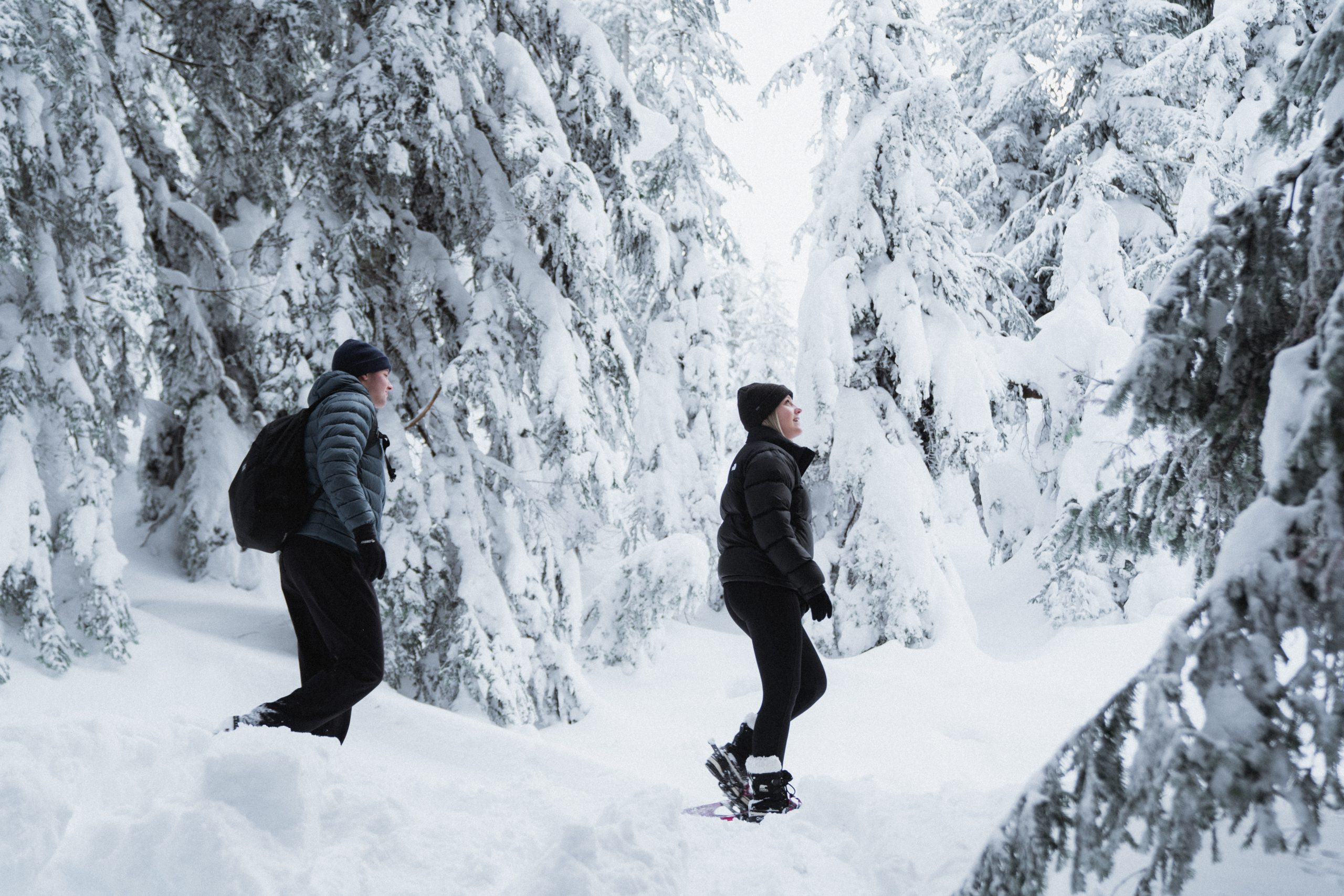 snowshoeing