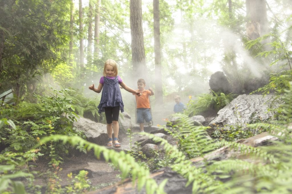 kids running through misty forest