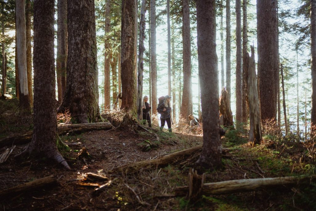 Two women hiking through a North Shore Forest in Fall