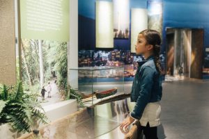 Child looking at MONOVA museum exhibit