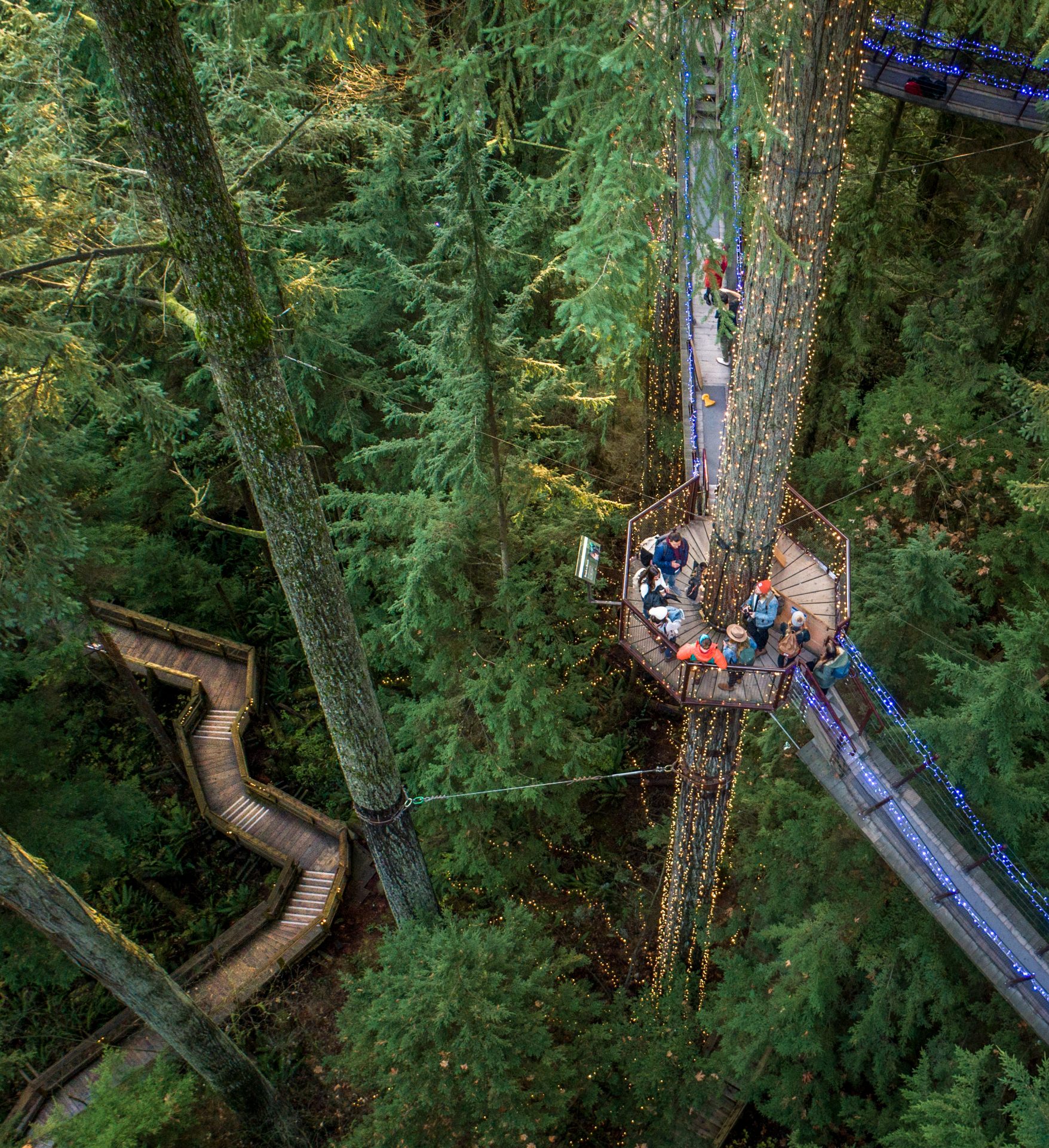 Treetops at Capilano Suspension Bridge Park