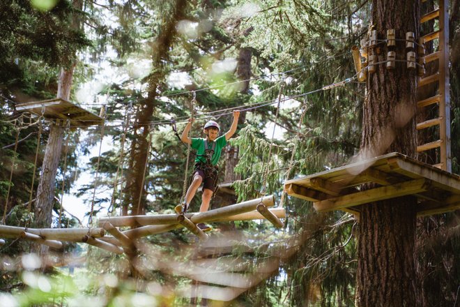 Grouse Mountain Treetop Adventure