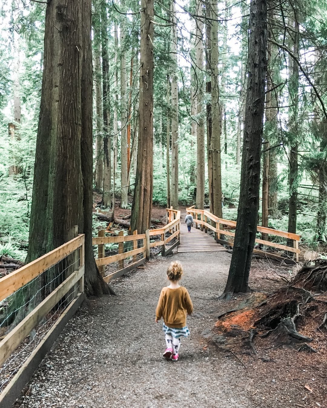 Lynn Canyon Loop