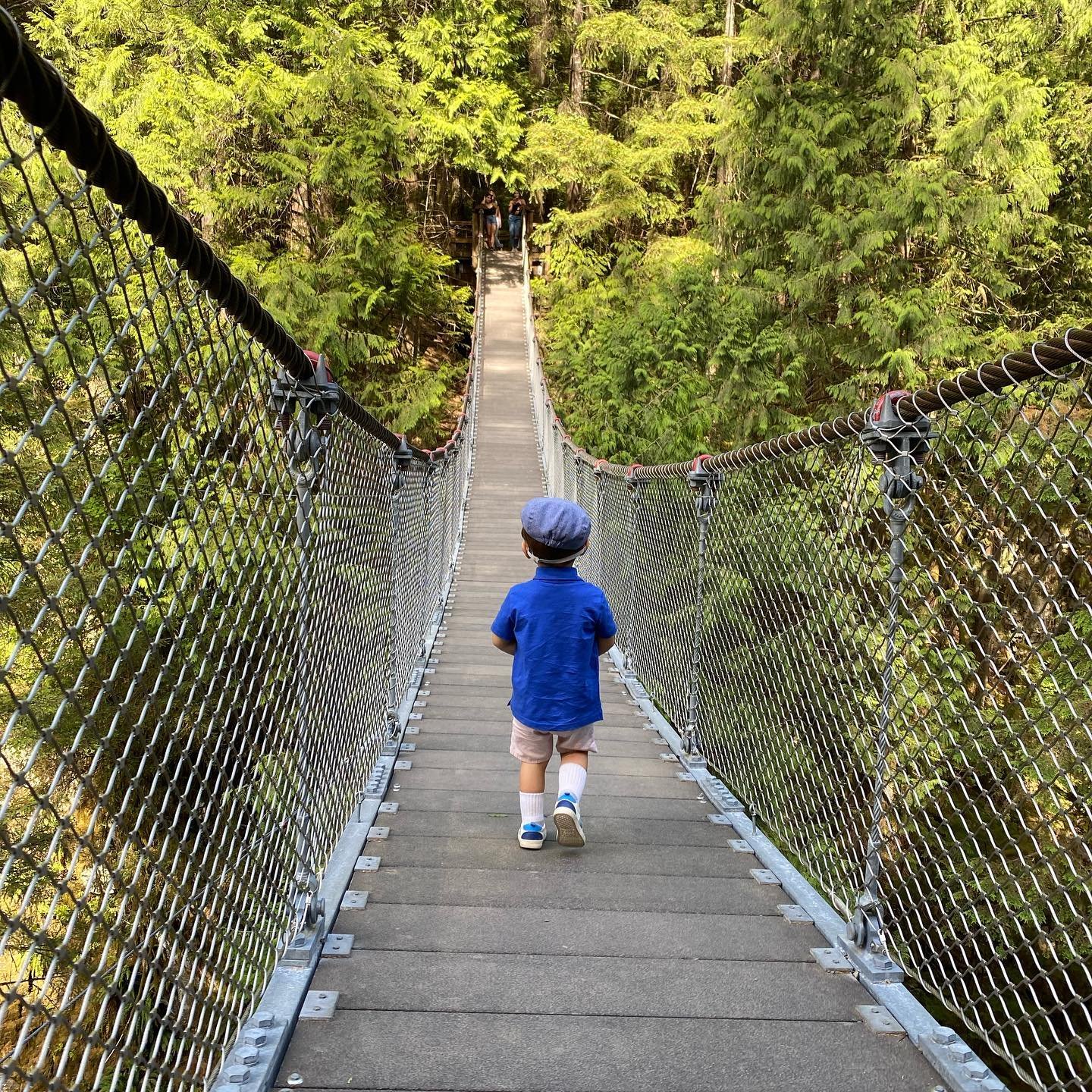 Lynn Canyon Suspension Bridge