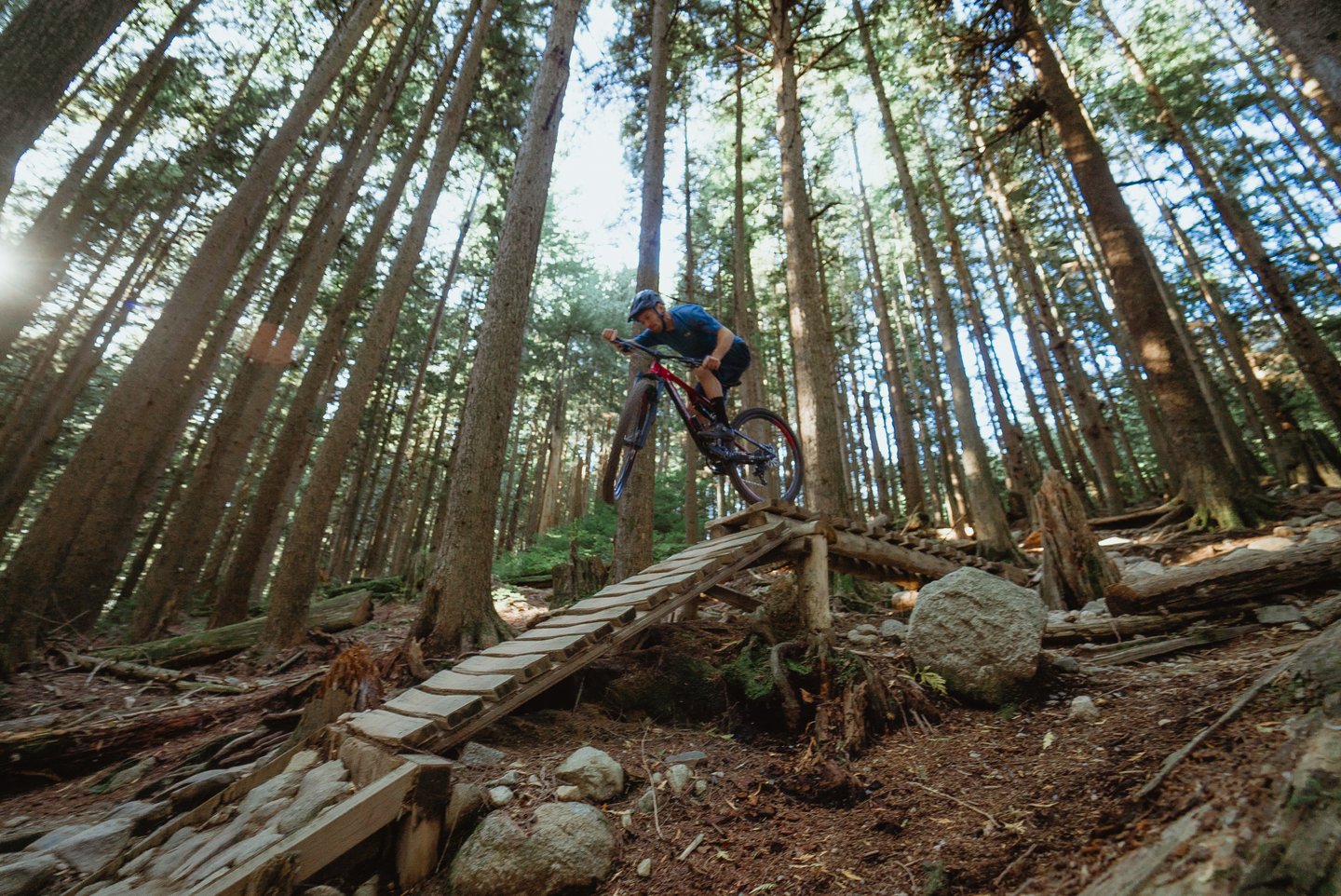 Mount Seymour Mountain Biking Trails