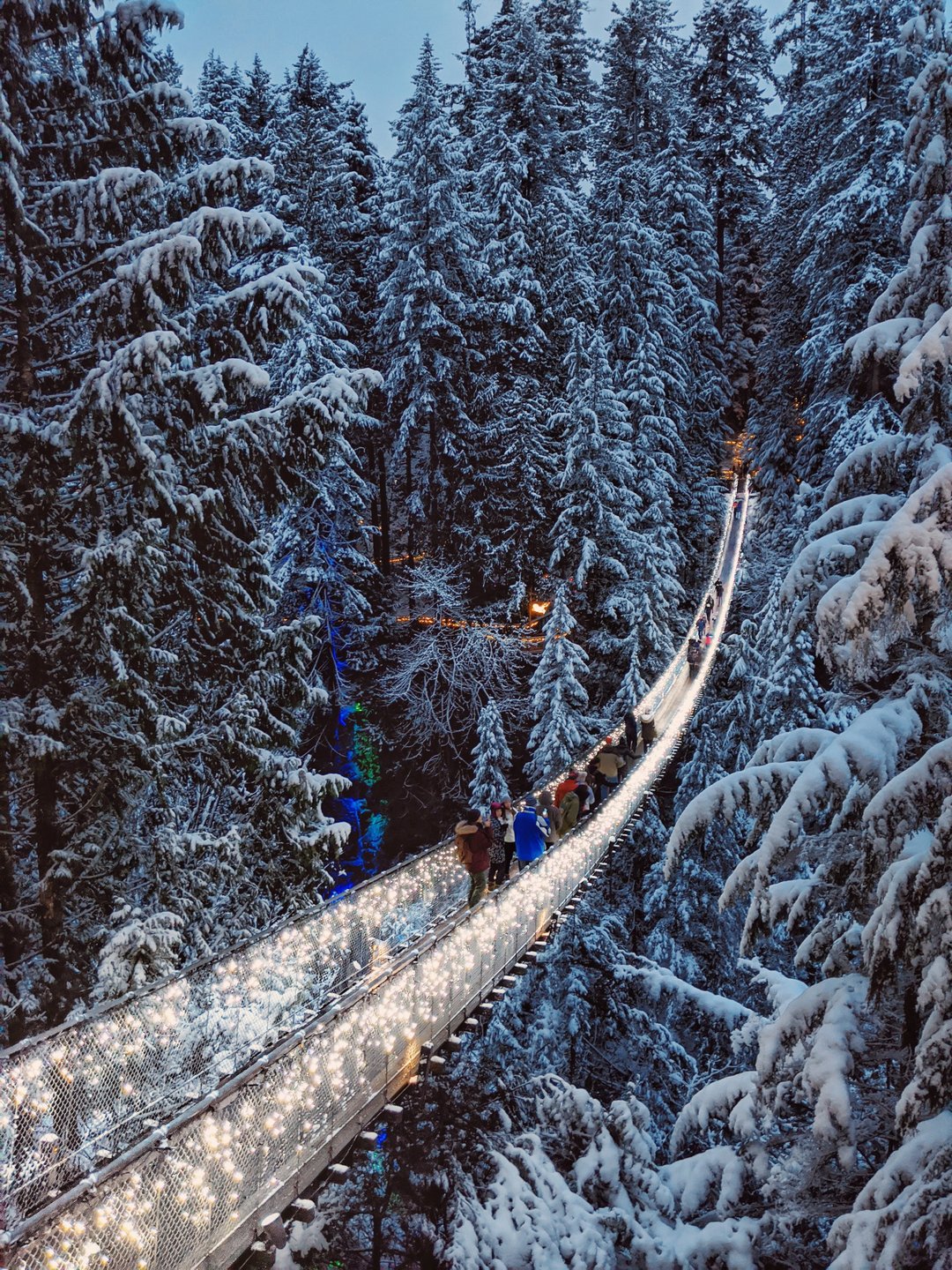 Canyon Lights at Capilano Suspension Bridge