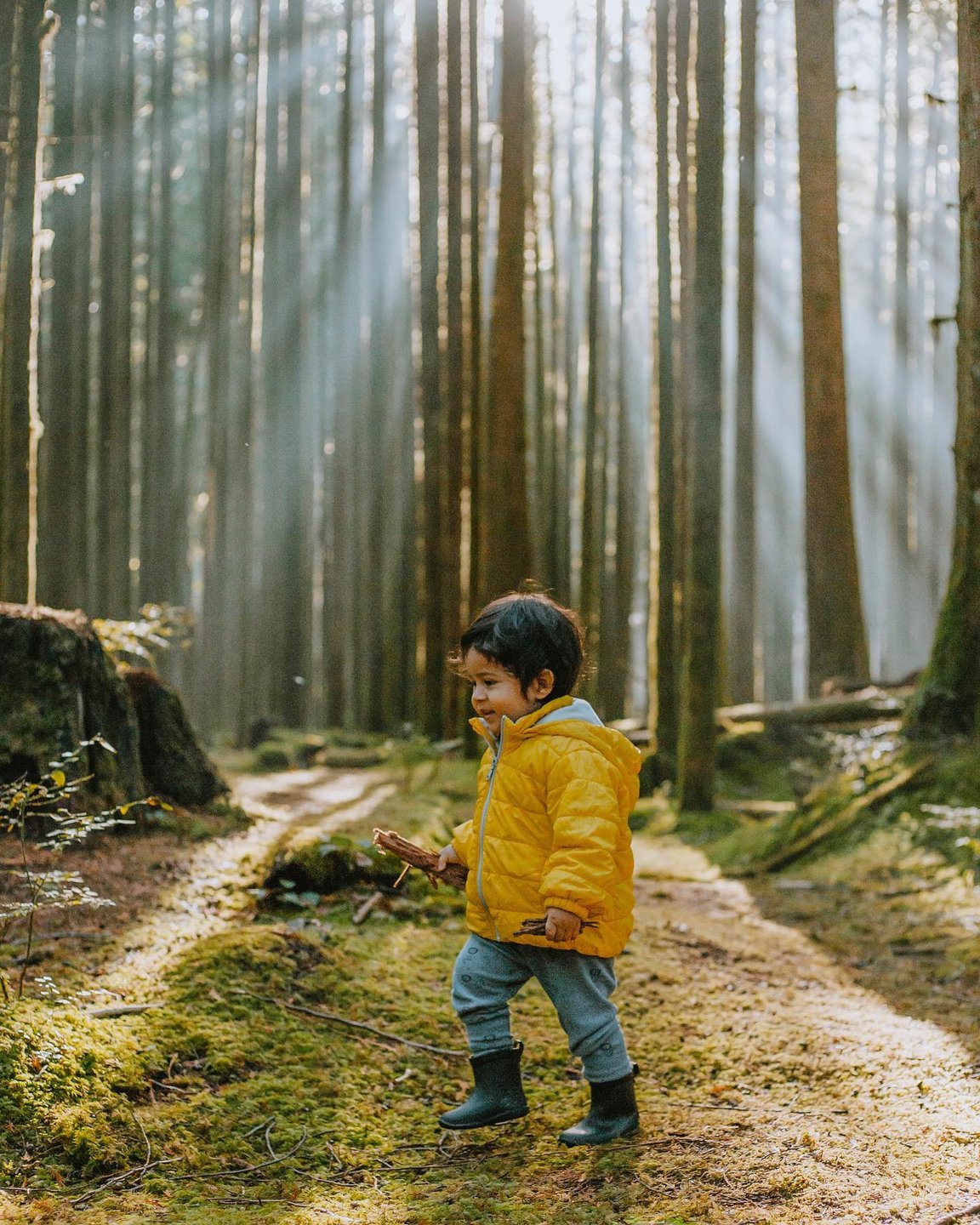 Lynn Canyon