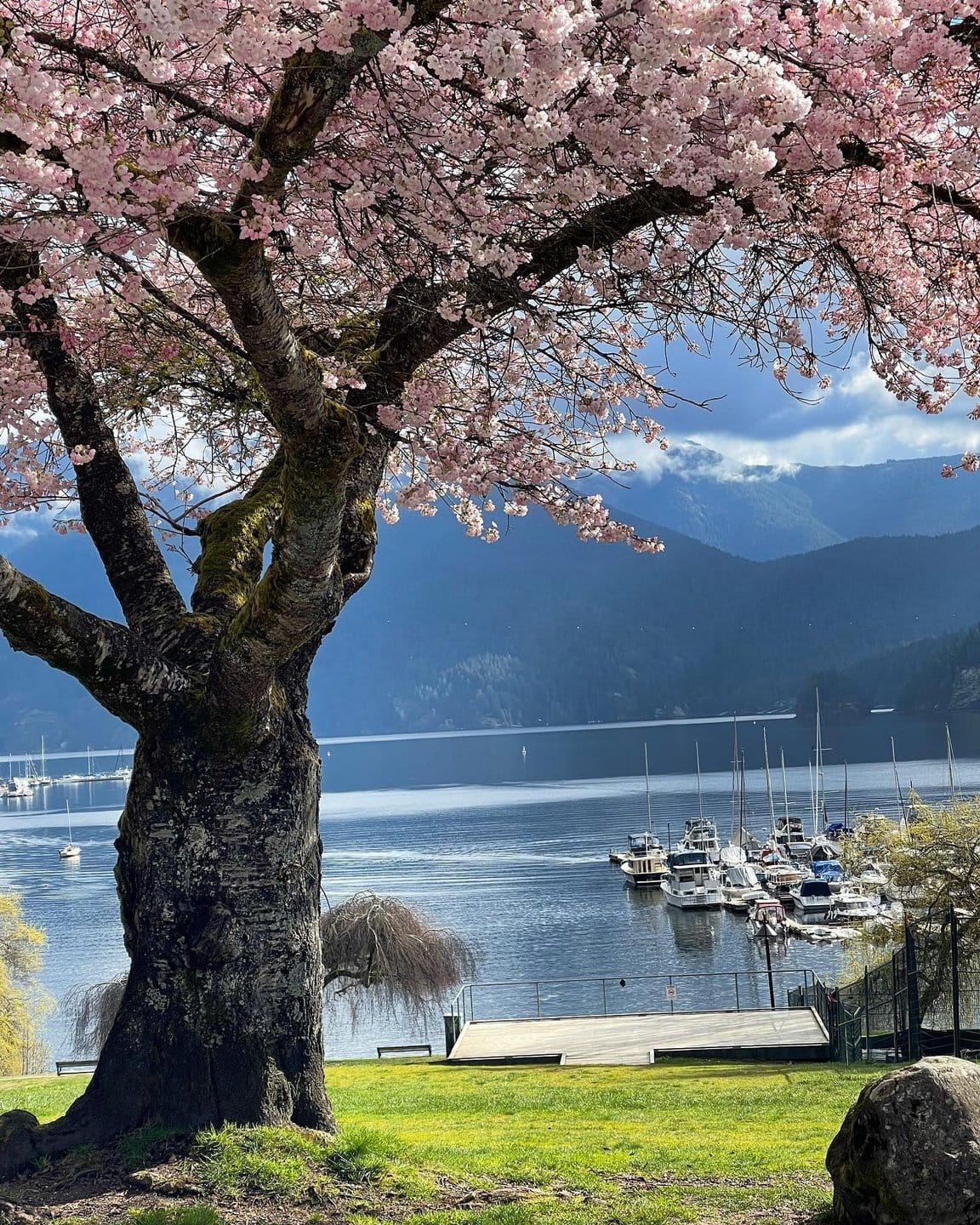 Panorama Park, Deep Cove
