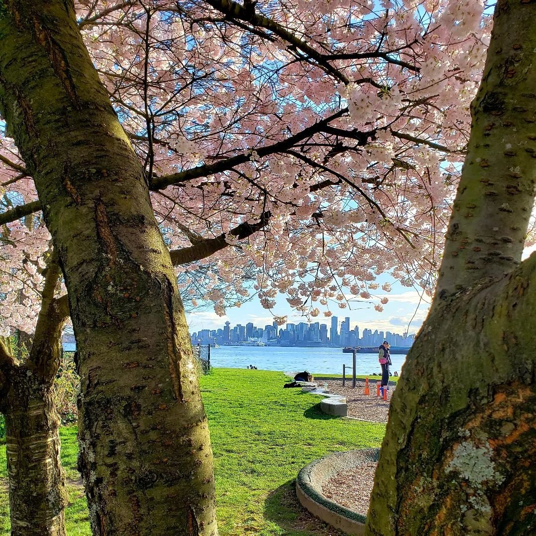 Waterfront Park