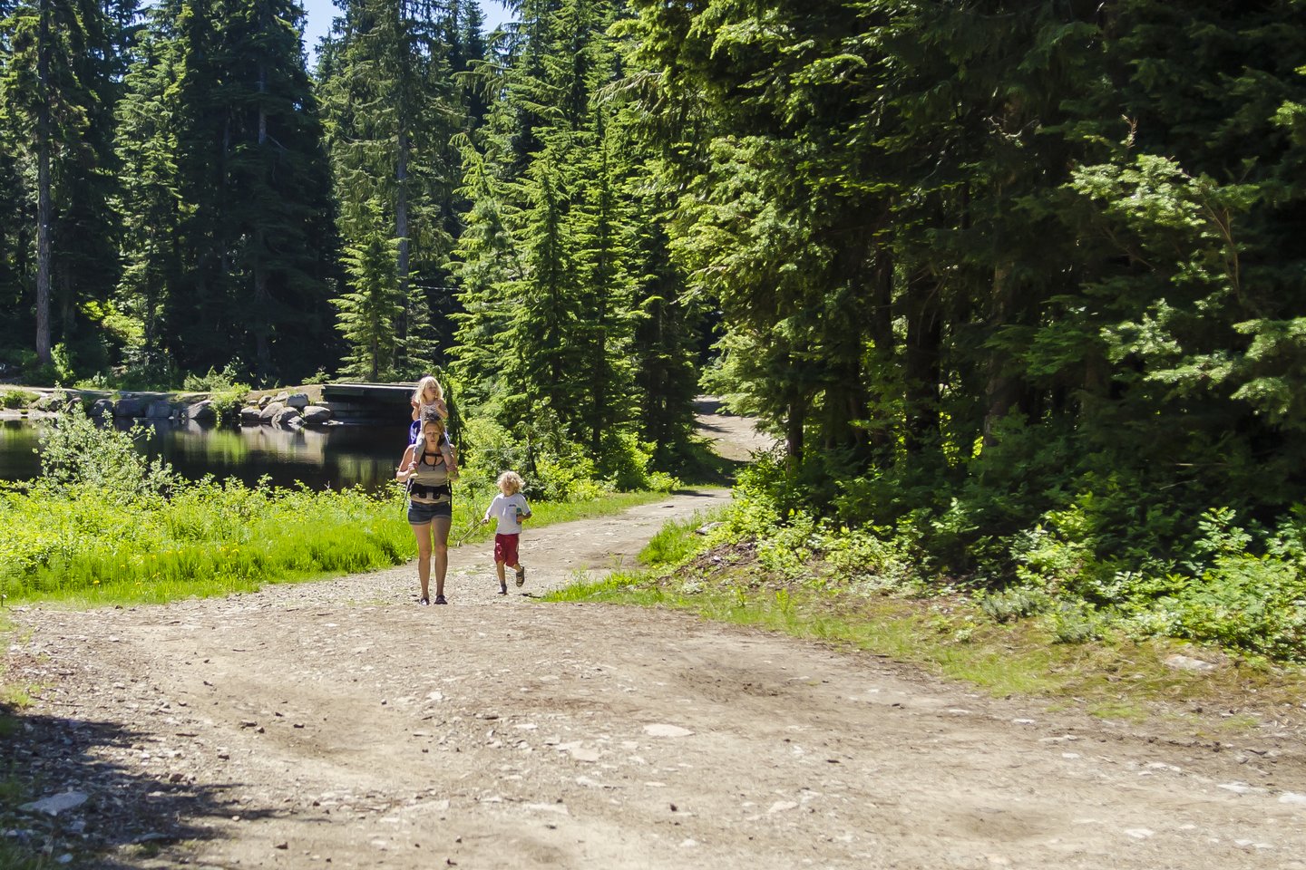 Family Hiking Hollyburn Mountain