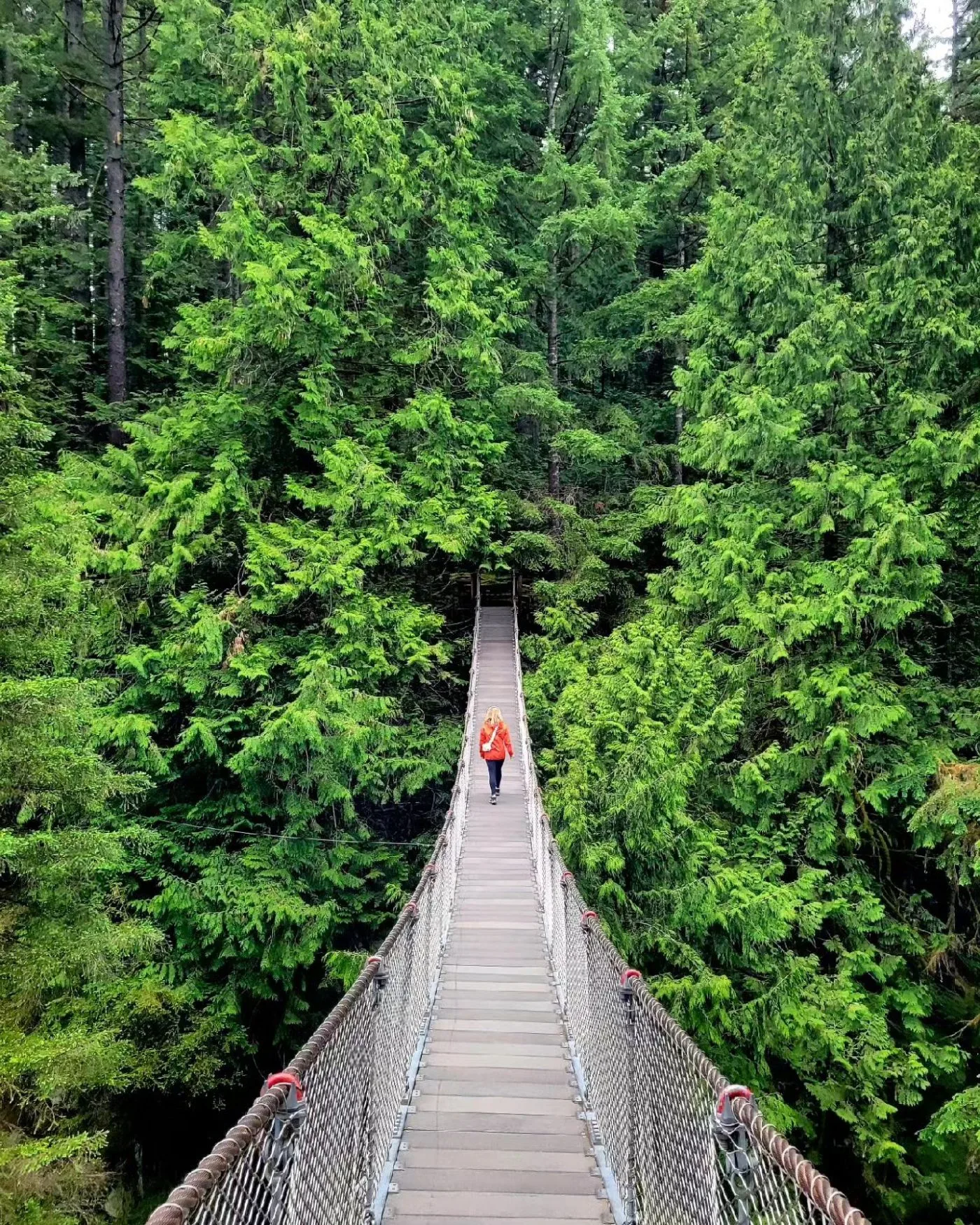 Lynn Valley Suspension Bridge