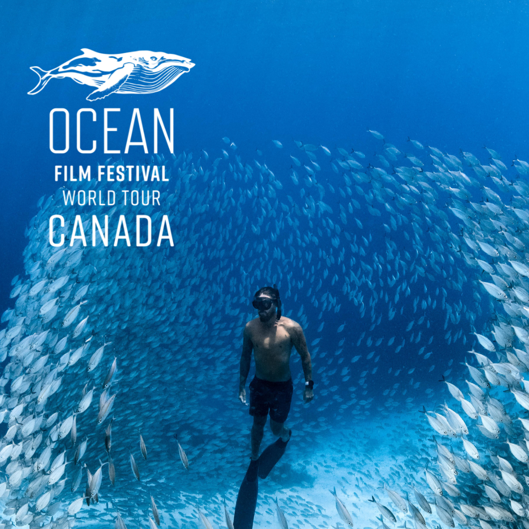 Ocean Film Festival