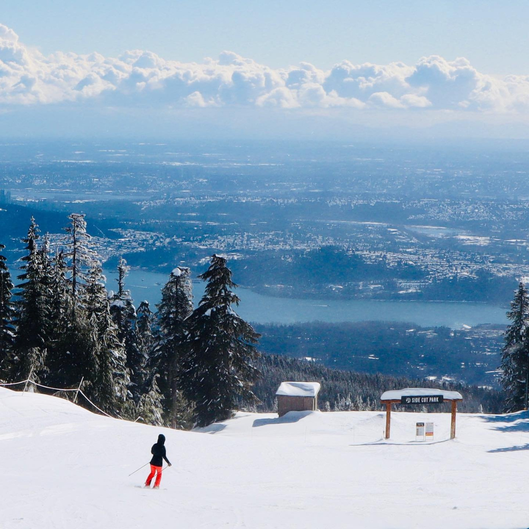 Grouse Mountain 