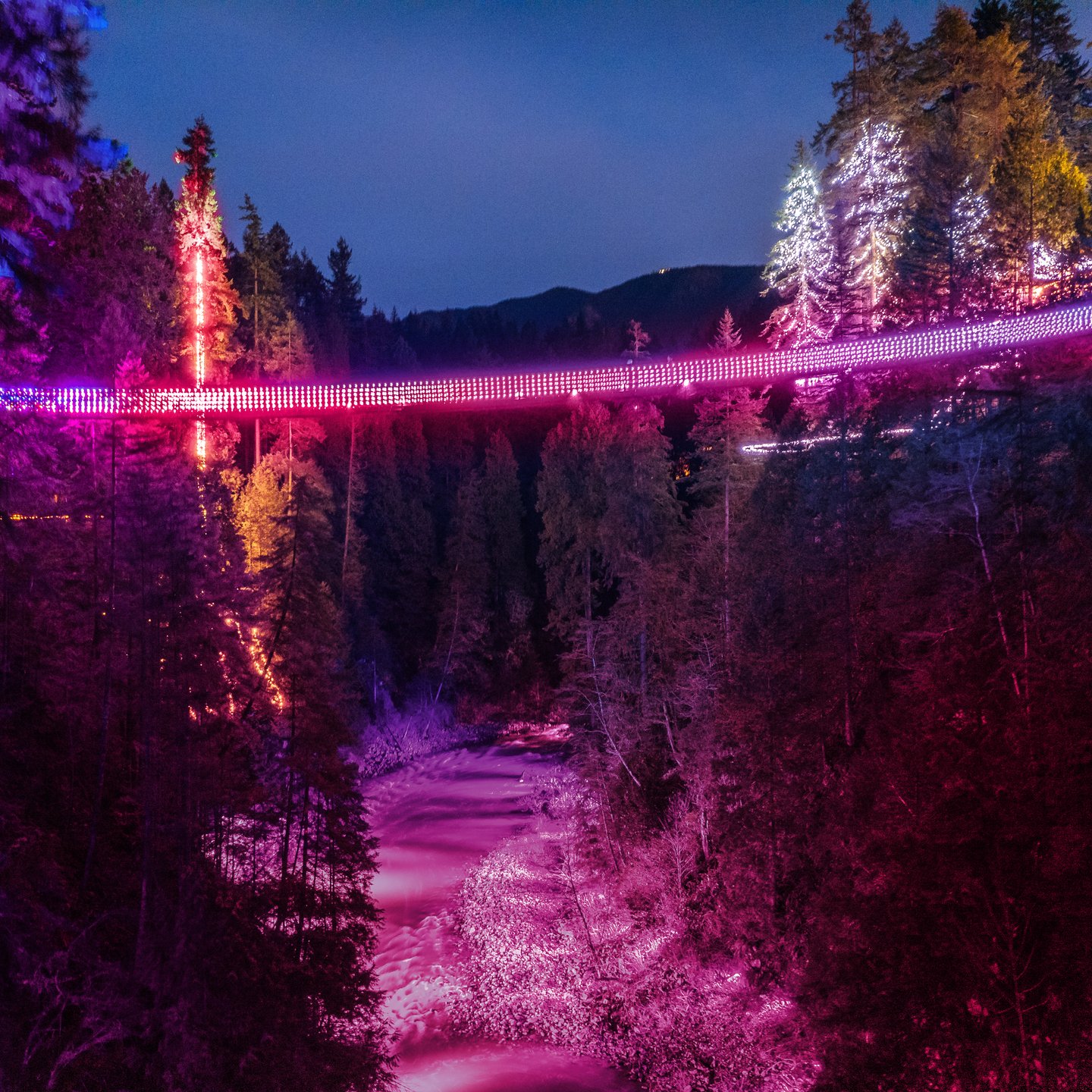 Capilano Suspension Bridge