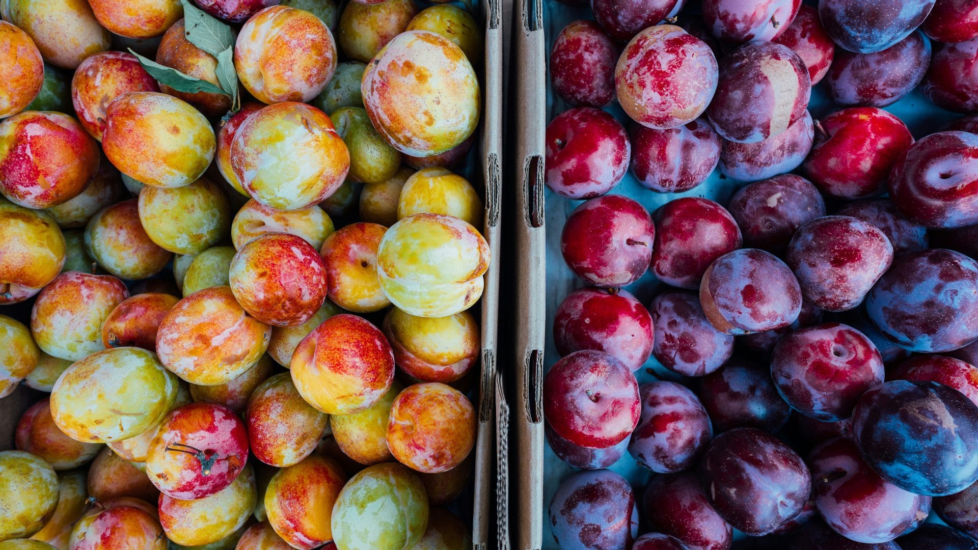 Farmers' Market on Vancouver's North Shore