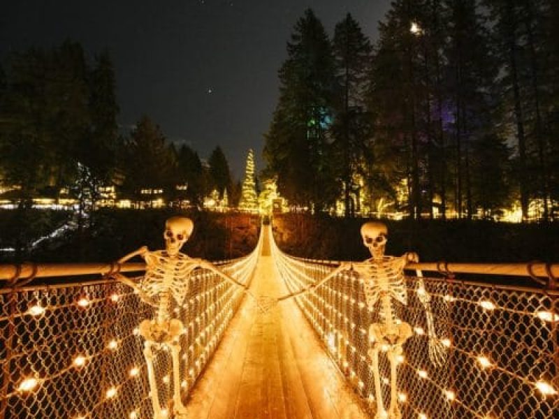 Canyon-Frights-Bridge-with-Skeletons-hand-holding-1-e1758822946691